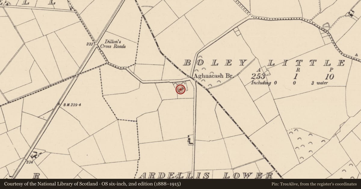 Ordnance Survey six-inch map, 2nd edition (1888–1915) covering the location of Ringfort - rath, Ardellis Lower, County Kildare, with a pin at the register's coordinates