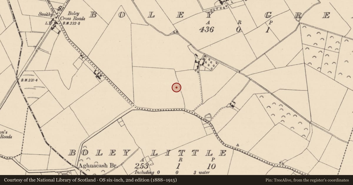 Ordnance Survey six-inch map, 2nd edition (1888–1915) covering the location of Enclosure, Boley Great, County Kildare, with a pin at the register's coordinates