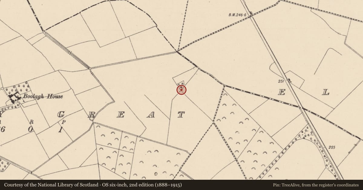 Ordnance Survey six-inch map, 2nd edition (1888–1915) covering the location of Enclosure, Boley Great, County Kildare, with a pin at the register's coordinates