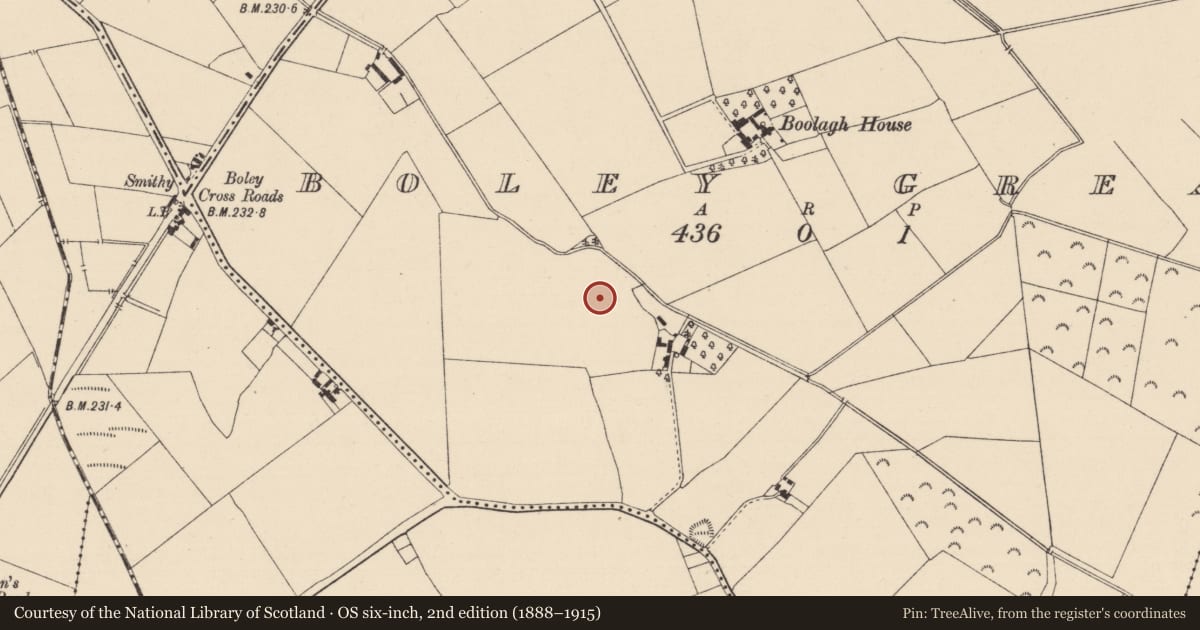 Ordnance Survey six-inch map, 2nd edition (1888–1915) covering the location of Enclosure, Boley Great, County Kildare, with a pin at the register's coordinates