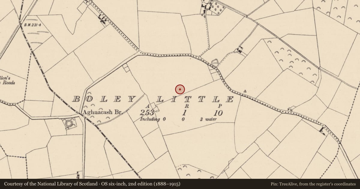 Ordnance Survey six-inch map, 2nd edition (1888–1915) covering the location of Enclosure, Boley Little, County Kildare, with a pin at the register's coordinates