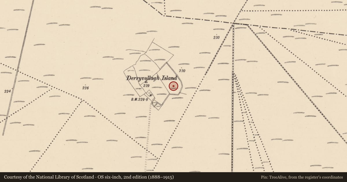 Ordnance Survey six-inch map, 2nd edition (1888–1915) covering the location of Enclosure, Cloney, County Kildare, with a pin at the register's coordinates