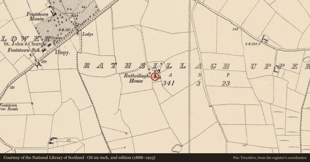 Ordnance Survey six-inch map, 2nd edition (1888–1915) covering the location of Castle - unclassified, Rathsillagh Upper, County Kildare, with a pin at the register's coordinates