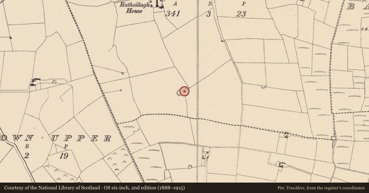 Ordnance Survey six-inch map, 2nd edition (1888–1915) covering the location of Ringfort - rath, Rathsillagh Upper, County Kildare, with a pin at the register's coordinates