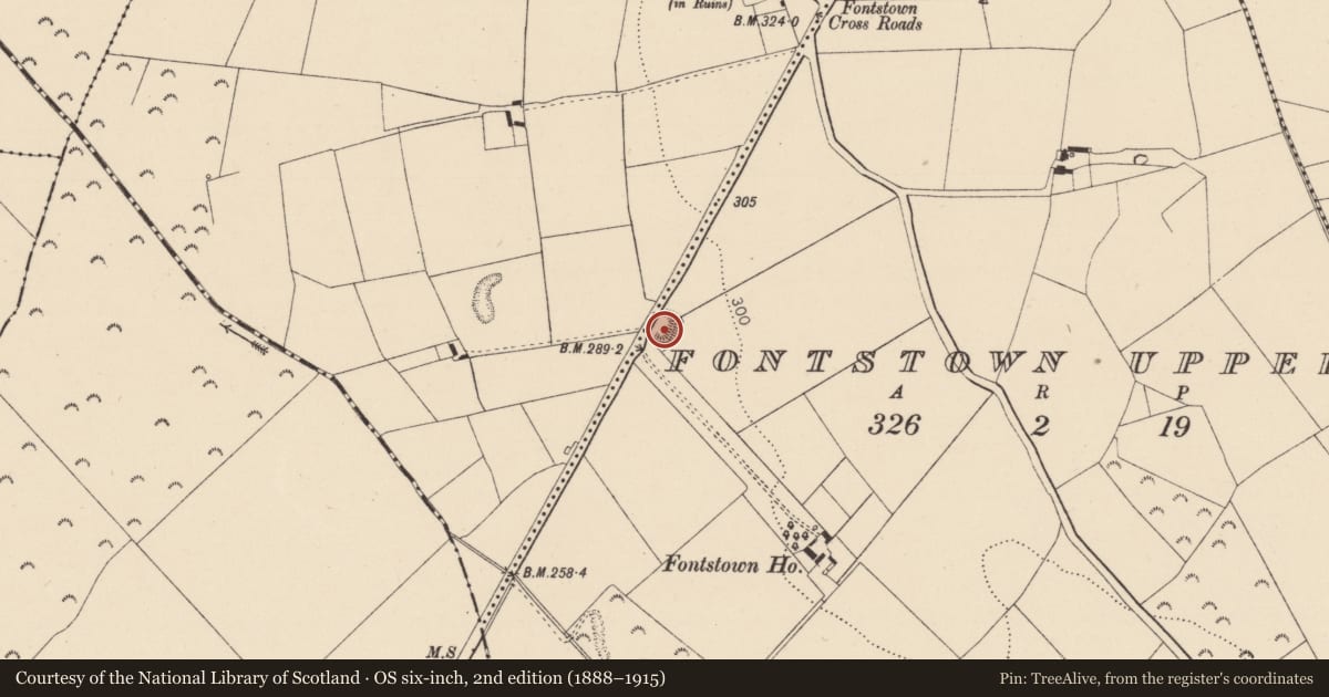 Ordnance Survey six-inch map, 2nd edition (1888–1915) covering the location of Ringfort - rath, Fontstown Upper, County Kildare, with a pin at the register's coordinates