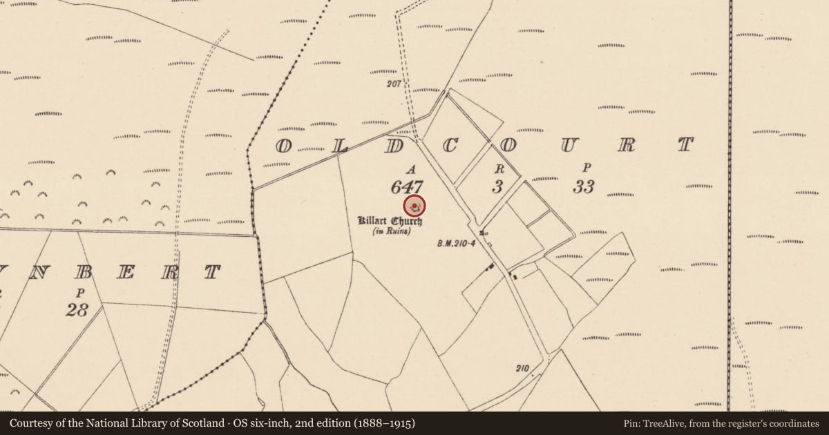 Ordnance Survey six-inch map, 2nd edition (1888–1915) covering the location of Church, Oldcourt, County Kildare, with a pin at the register's coordinates