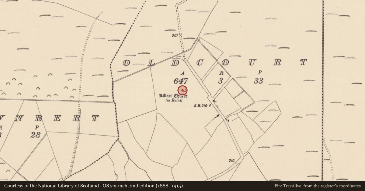 Ordnance Survey six-inch map, 2nd edition (1888–1915) covering the location of Graveyard, Oldcourt, County Kildare, with a pin at the register's coordinates
