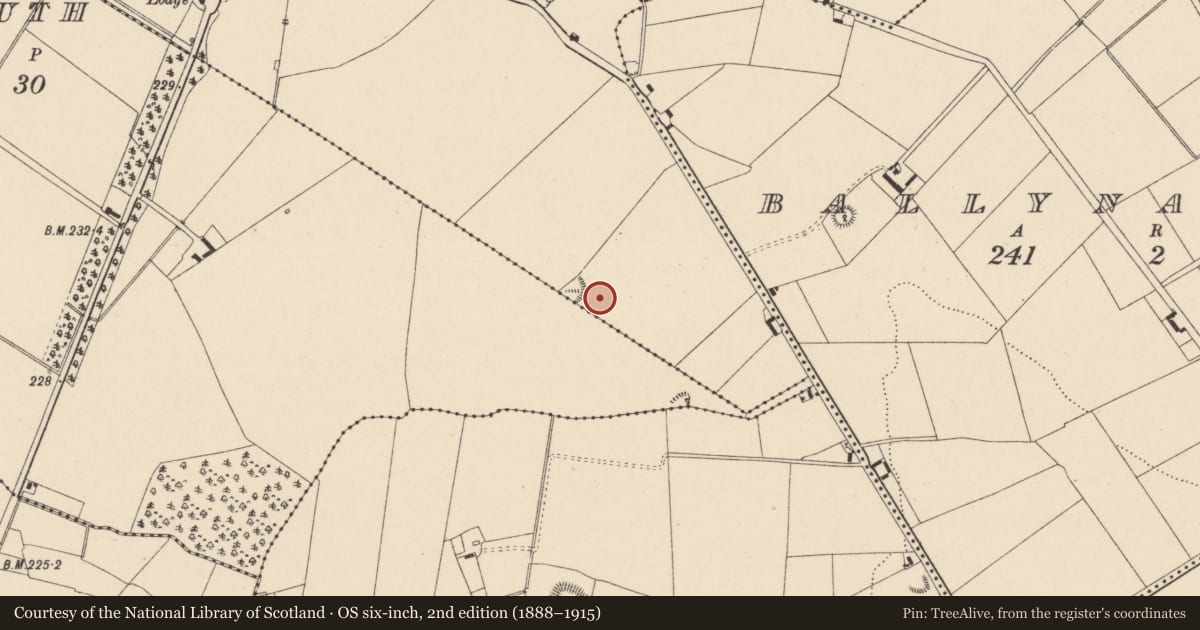 Ordnance Survey six-inch map, 2nd edition (1888–1915) covering the location of Enclosure, Skerries North, County Kildare, with a pin at the register's coordinates