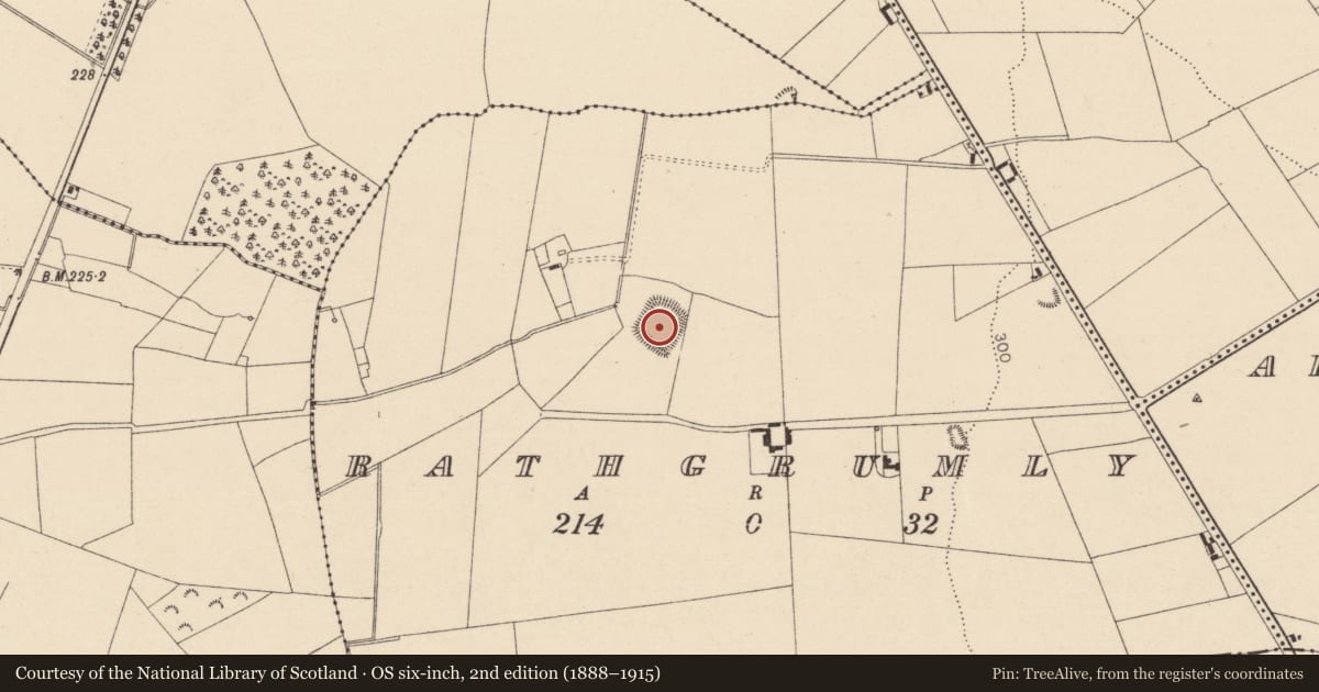 Ordnance Survey six-inch map, 2nd edition (1888–1915) covering the location of Moated site, Rathgrumly, County Kildare, with a pin at the register's coordinates