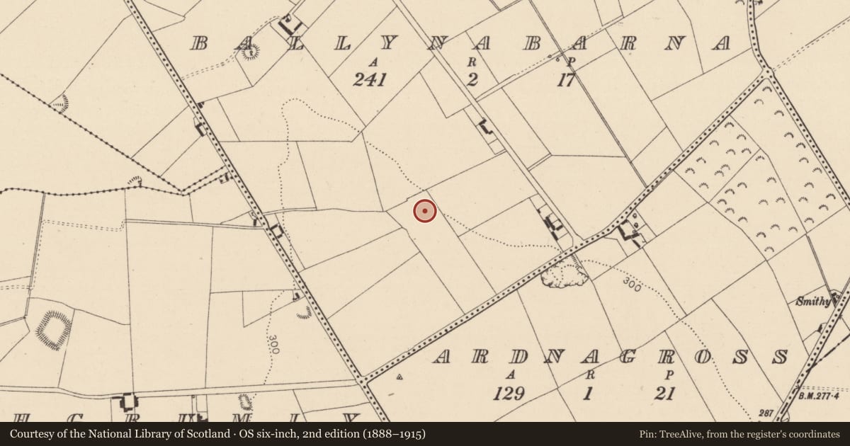 Ordnance Survey six-inch map, 2nd edition (1888–1915) covering the location of Enclosure, Ballynabarna, County Kildare, with a pin at the register's coordinates