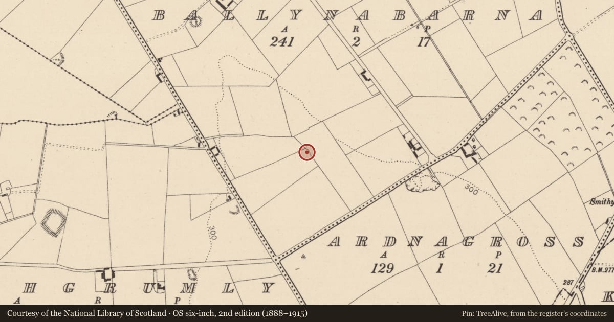 Ordnance Survey six-inch map, 2nd edition (1888–1915) covering the location of Barrow - ring-barrow, Ballynabarna, County Kildare, with a pin at the register's coordinates