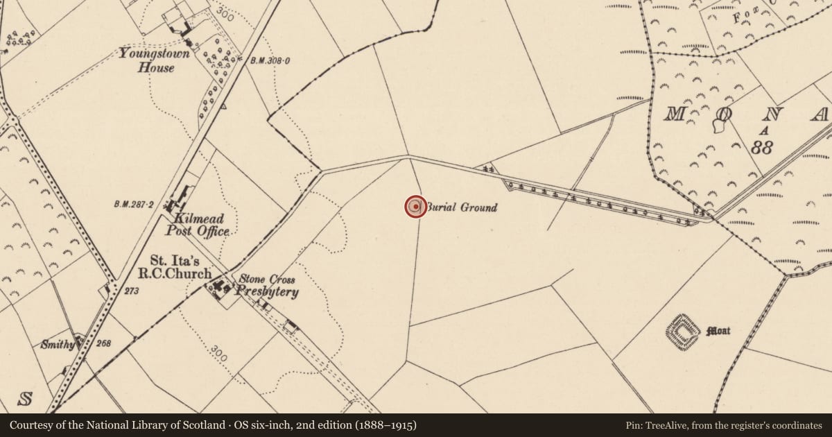 Ordnance Survey six-inch map, 2nd edition (1888–1915) covering the location of Burial ground, Kilmead, County Kildare, with a pin at the register's coordinates