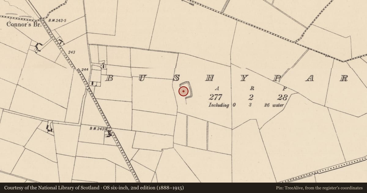 Ordnance Survey six-inch map, 2nd edition (1888–1915) covering the location of Moated site, Bushypark, County Kildare, with a pin at the register's coordinates