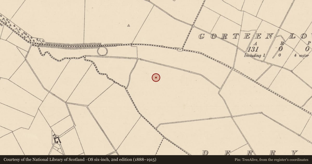 Ordnance Survey six-inch map, 2nd edition (1888–1915) covering the location of Enclosure, Derrynine, County Kildare, with a pin at the register's coordinates