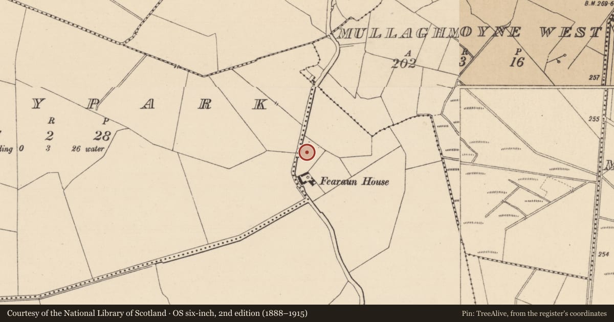 Ordnance Survey six-inch map, 2nd edition (1888–1915) covering the location of Designed landscape feature, Fearaun, County Kildare, with a pin at the register's coordinates