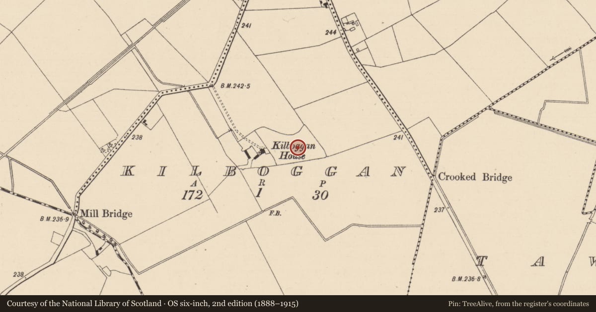 Ordnance Survey six-inch map, 2nd edition (1888–1915) covering the location of Enclosure, Kilboggan, County Kildare, with a pin at the register's coordinates