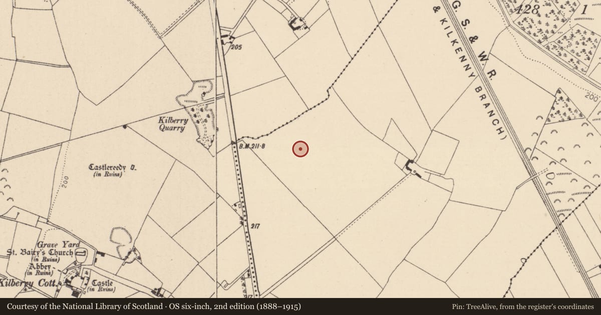 Ordnance Survey six-inch map, 2nd edition (1888–1915) covering the location of Enclosure, Sheean, County Kildare, with a pin at the register's coordinates