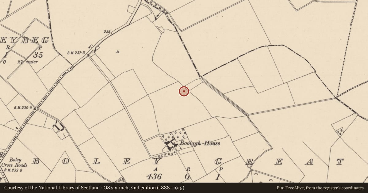 Ordnance Survey six-inch map, 2nd edition (1888–1915) covering the location of Enclosure, Boley Great, County Kildare, with a pin at the register's coordinates
