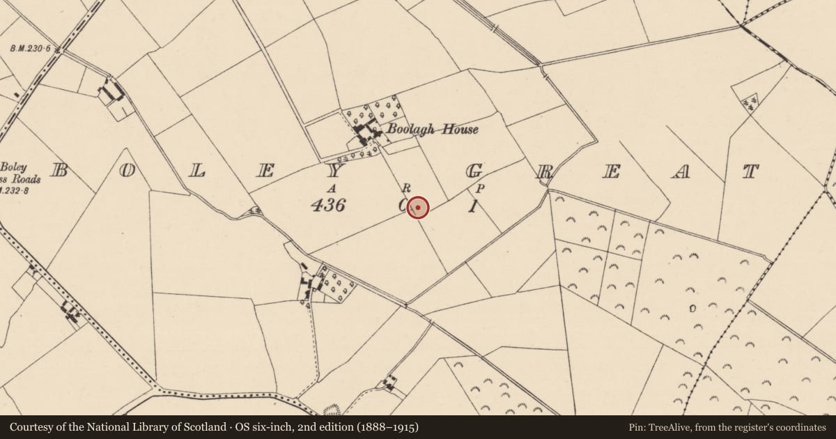 Ordnance Survey six-inch map, 2nd edition (1888–1915) covering the location of Enclosure, Boley Great, County Kildare, with a pin at the register's coordinates