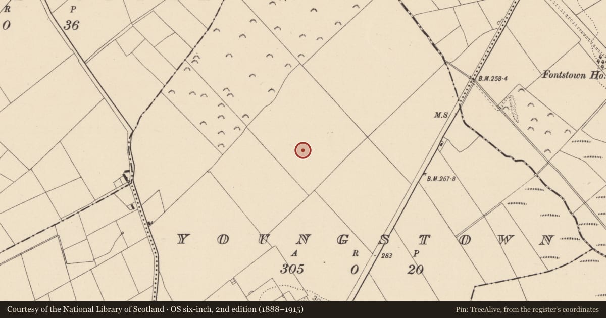 Ordnance Survey six-inch map, 2nd edition (1888–1915) covering the location of Moated site, Youngstown, County Kildare, with a pin at the register's coordinates