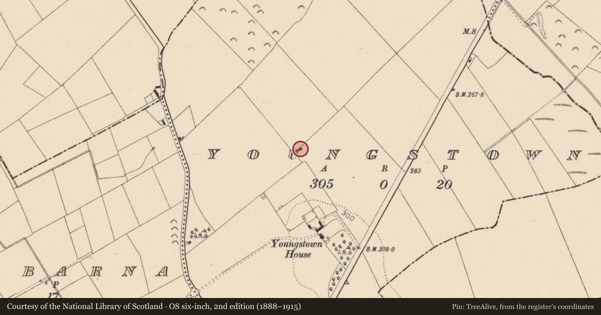 Ordnance Survey six-inch map, 2nd edition (1888–1915) covering the location of Enclosure, Youngstown, County Kildare, with a pin at the register's coordinates