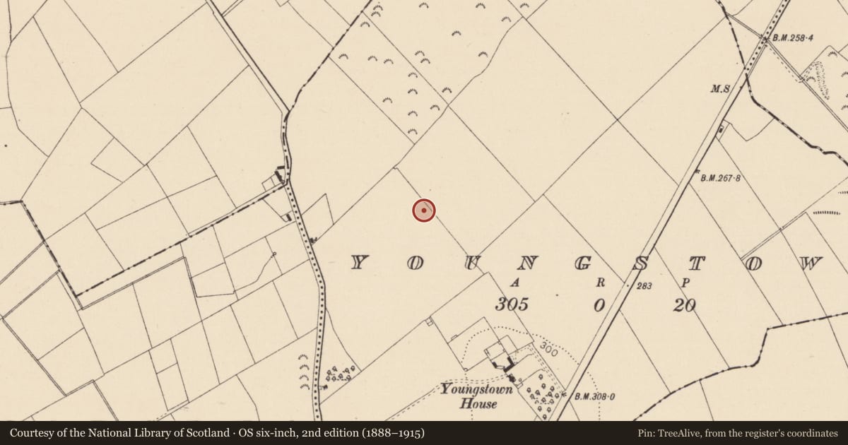 Ordnance Survey six-inch map, 2nd edition (1888–1915) covering the location of Enclosure, Youngstown, County Kildare, with a pin at the register's coordinates
