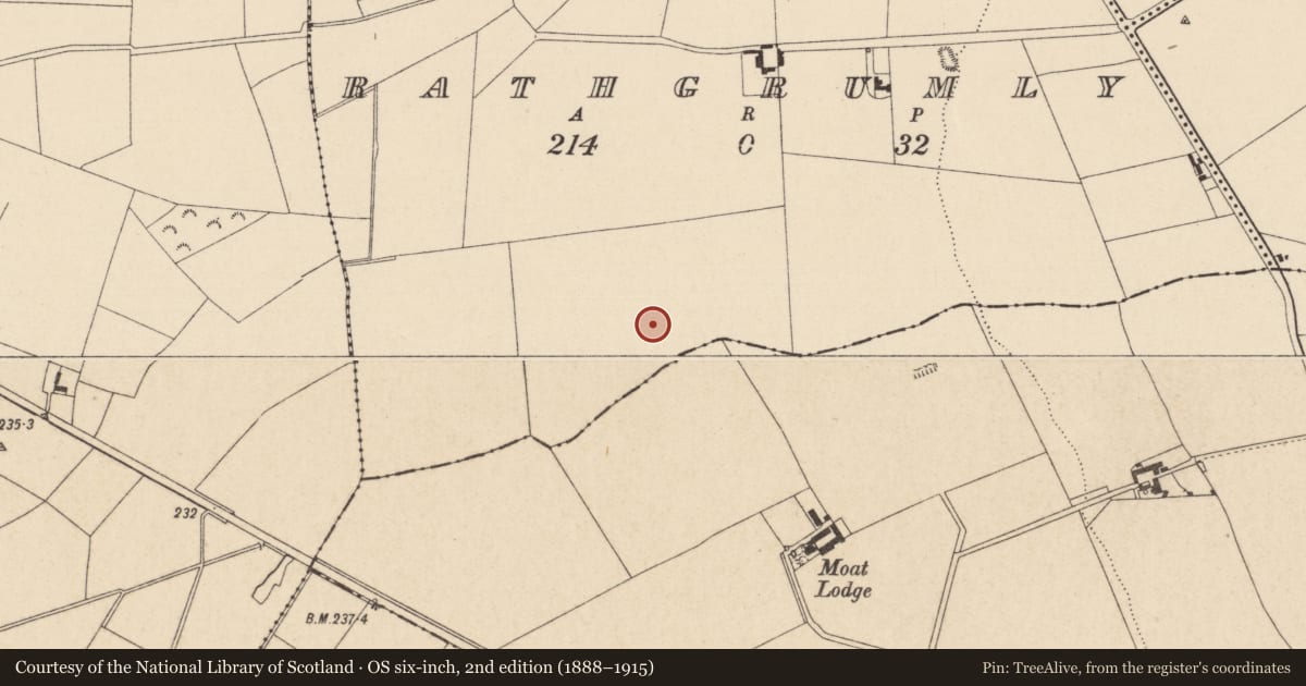 Ordnance Survey six-inch map, 2nd edition (1888–1915) covering the location of Enclosure, Rathgrumly, County Kildare, with a pin at the register's coordinates