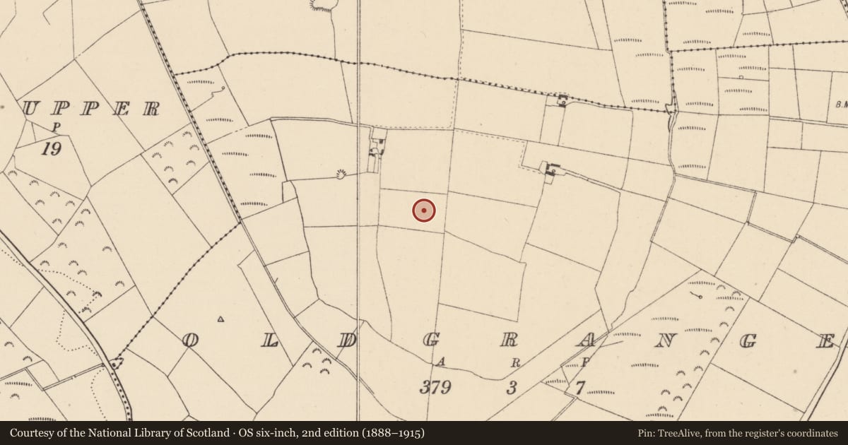 Ordnance Survey six-inch map, 2nd edition (1888–1915) covering the location of Enclosure, Oldgrange, County Kildare, with a pin at the register's coordinates