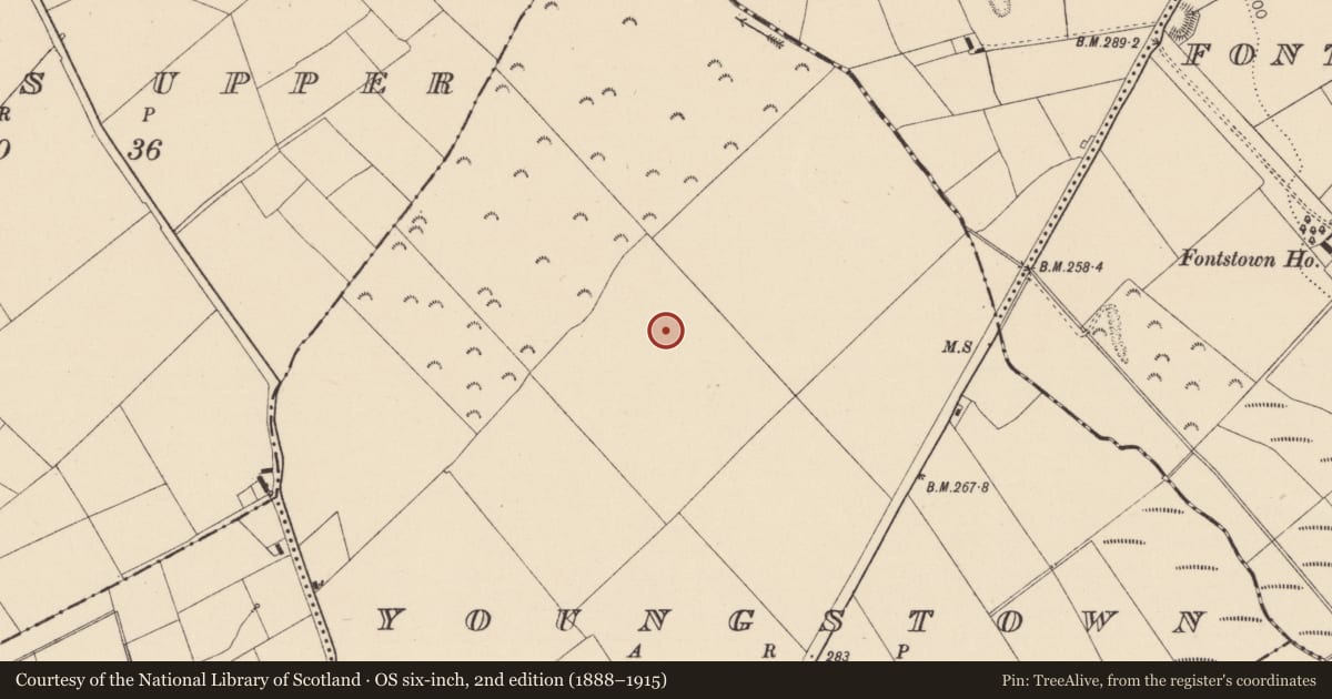 Ordnance Survey six-inch map, 2nd edition (1888–1915) covering the location of Moated site, Youngstown, County Kildare, with a pin at the register's coordinates
