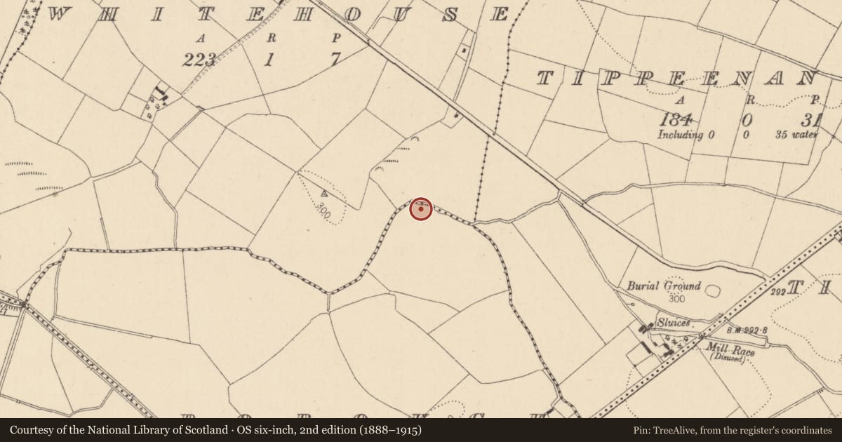 Ordnance Survey six-inch map, 2nd edition (1888–1915) covering the location of Mound, Borough, County Kildare, with a pin at the register's coordinates