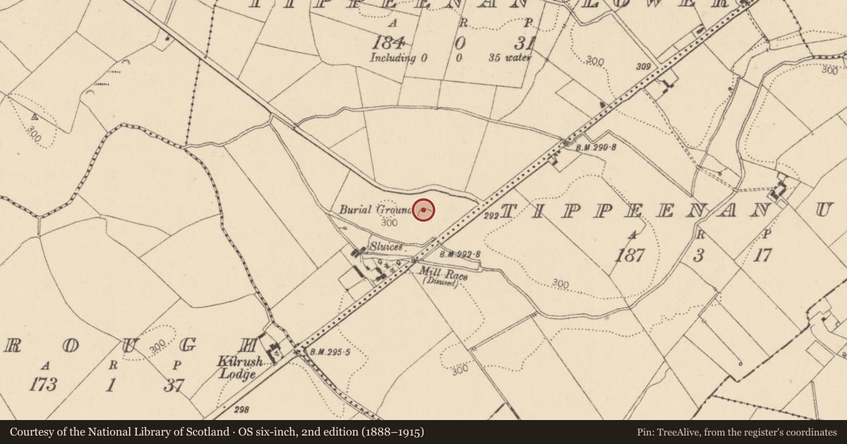 Ordnance Survey six-inch map, 2nd edition (1888–1915) covering the location of Burial ground, Tippeenan Lower, County Kildare, with a pin at the register's coordinates