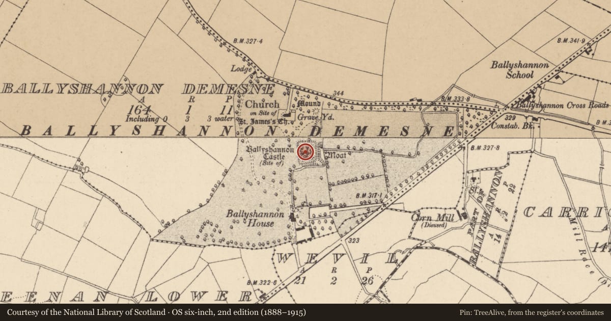 Ordnance Survey six-inch map, 2nd edition (1888–1915) covering the location of Castle - unclassified, Ballyshannon Demesne, County Kildare, with a pin at the register's coordinates