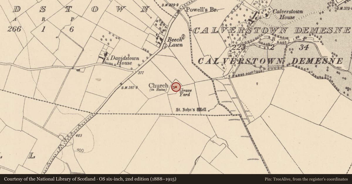 Ordnance Survey six-inch map, 2nd edition (1888–1915) covering the location of Graveyard, Davidstown, County Kildare, with a pin at the register's coordinates