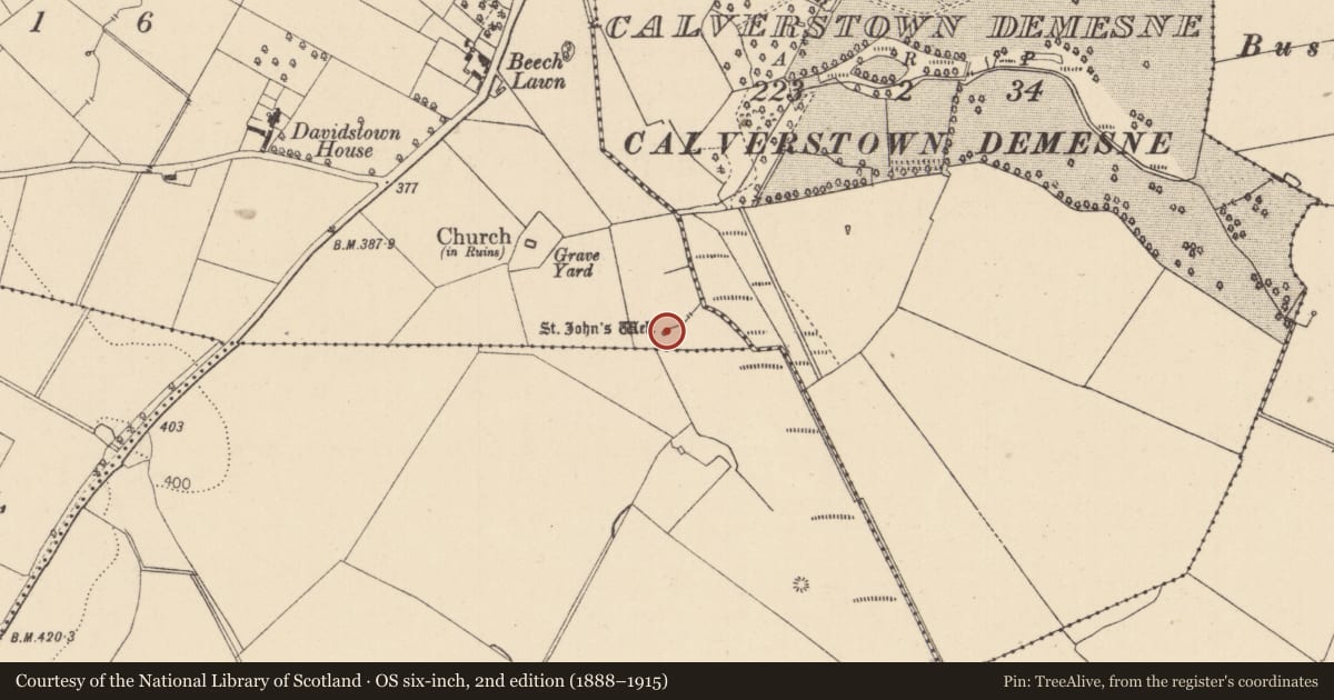 Ordnance Survey six-inch map, 2nd edition (1888–1915) covering the location of Ritual site - holy well, Davidstown, County Kildare, with a pin at the register's coordinates