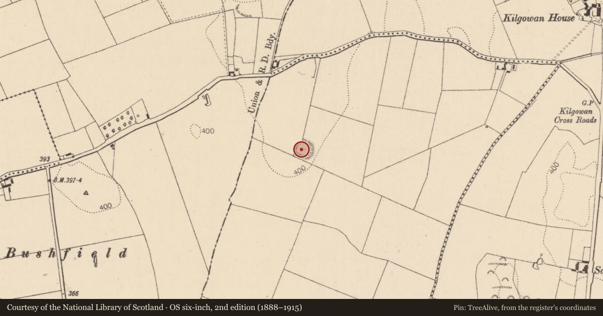 Ordnance Survey six-inch map, 2nd edition (1888–1915) covering the location of Ringfort - rath, Dalkinstown, County Kildare, with a pin at the register's coordinates