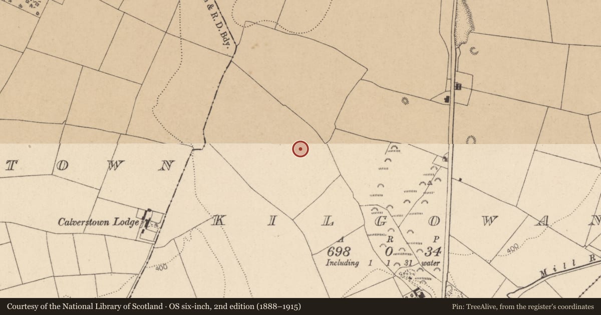 Ordnance Survey six-inch map, 2nd edition (1888–1915) covering the location of Barrow - ditch barrow, Kilgowan, County Kildare, with a pin at the register's coordinates