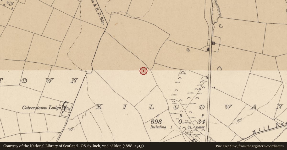 Ordnance Survey six-inch map, 2nd edition (1888–1915) covering the location of Barrow - ditch barrow, Kilgowan, County Kildare, with a pin at the register's coordinates