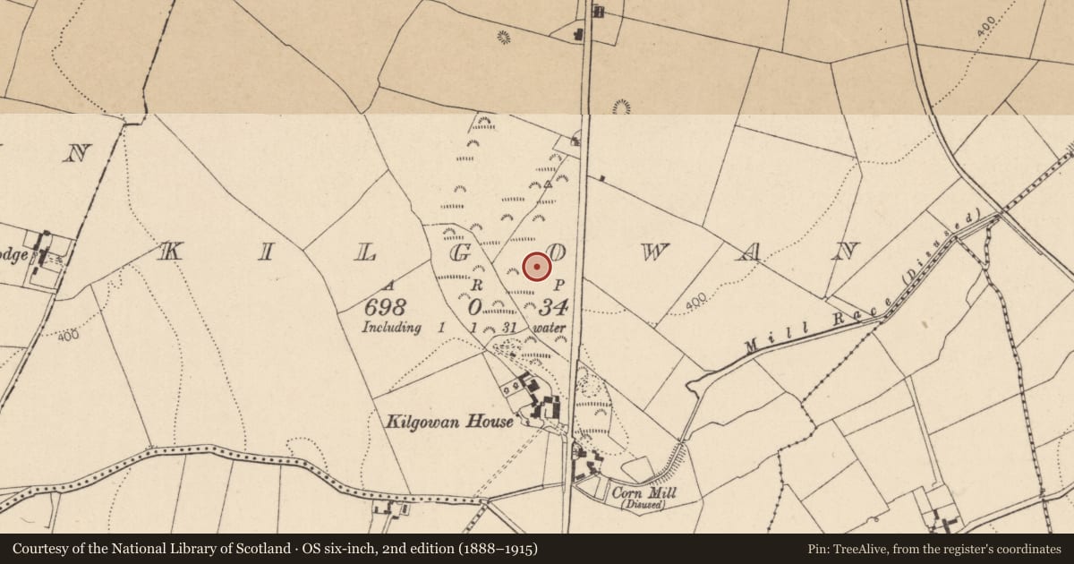 Ordnance Survey six-inch map, 2nd edition (1888–1915) covering the location of Enclosure, Kilgowan, County Kildare, with a pin at the register's coordinates