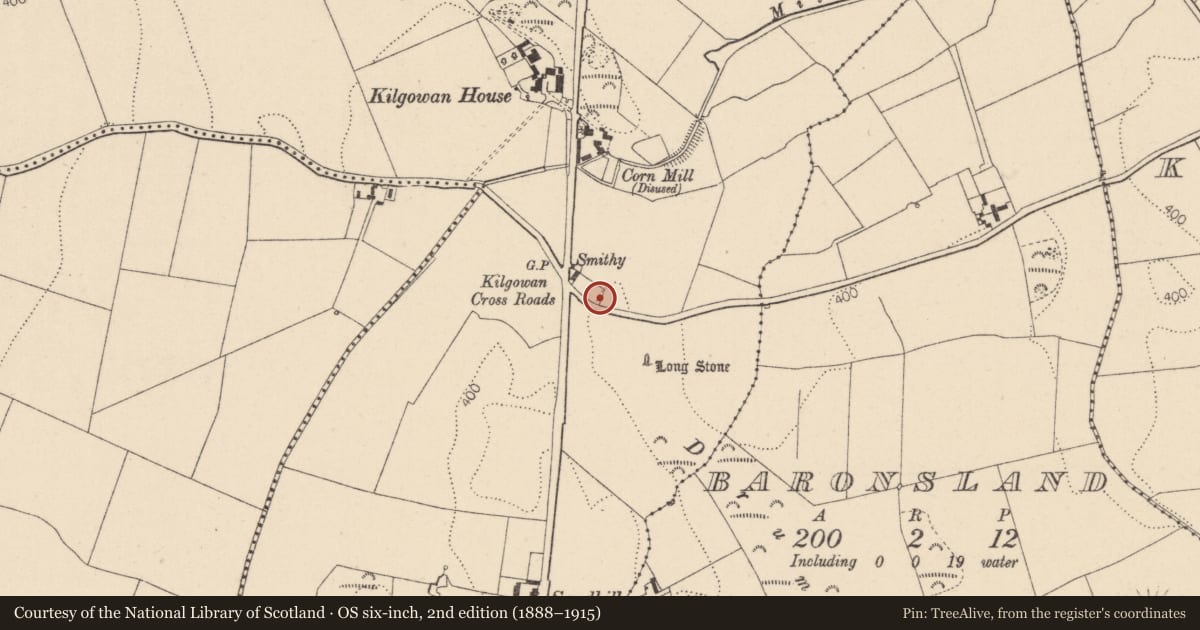 Ordnance Survey six-inch map, 2nd edition (1888–1915) covering the location of Castle - unclassified, Kilgowan, County Kildare, with a pin at the register's coordinates