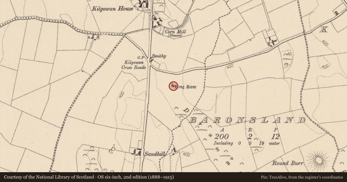 Ordnance Survey six-inch map, 2nd edition (1888–1915) covering the location of Standing stone, Kilgowan, County Kildare, with a pin at the register's coordinates