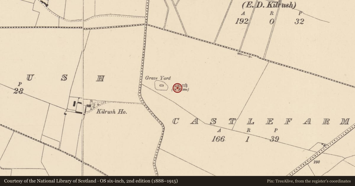 Ordnance Survey six-inch map, 2nd edition (1888–1915) covering the location of Castle - unclassified, Castlefarm, County Kildare, with a pin at the register's coordinates