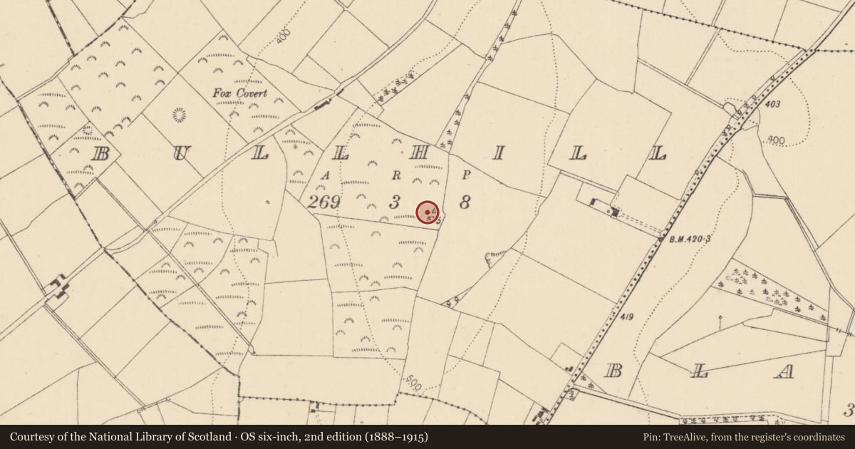 Ordnance Survey six-inch map, 2nd edition (1888–1915) covering the location of Barrow - ring-barrow, Bullhill, County Kildare, with a pin at the register's coordinates