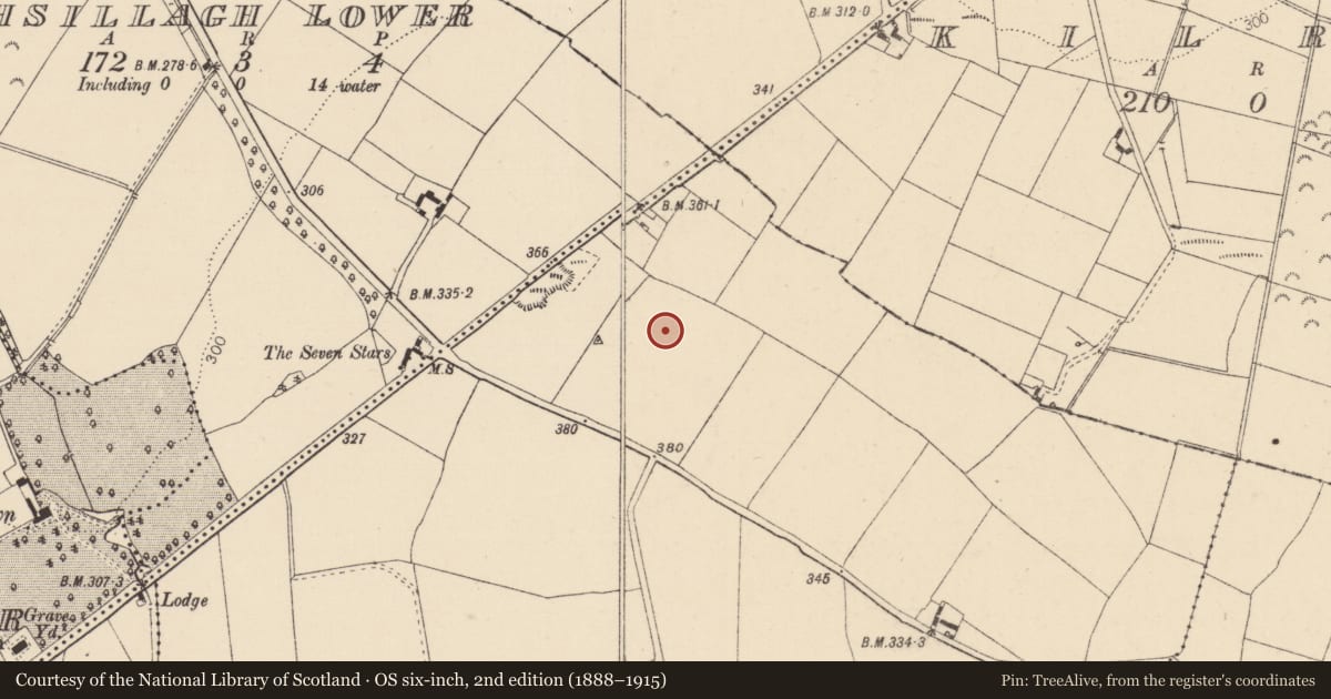 Ordnance Survey six-inch map, 2nd edition (1888–1915) covering the location of Enclosure, Rathsillagh Upper, County Kildare, with a pin at the register's coordinates