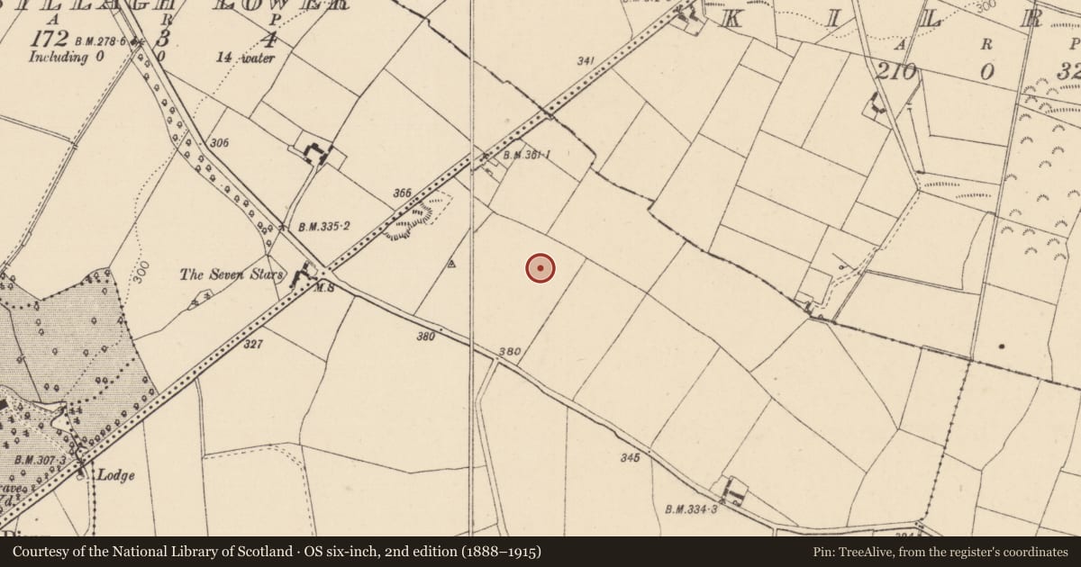 Ordnance Survey six-inch map, 2nd edition (1888–1915) covering the location of Field system, Rathsillagh Upper, County Kildare, with a pin at the register's coordinates