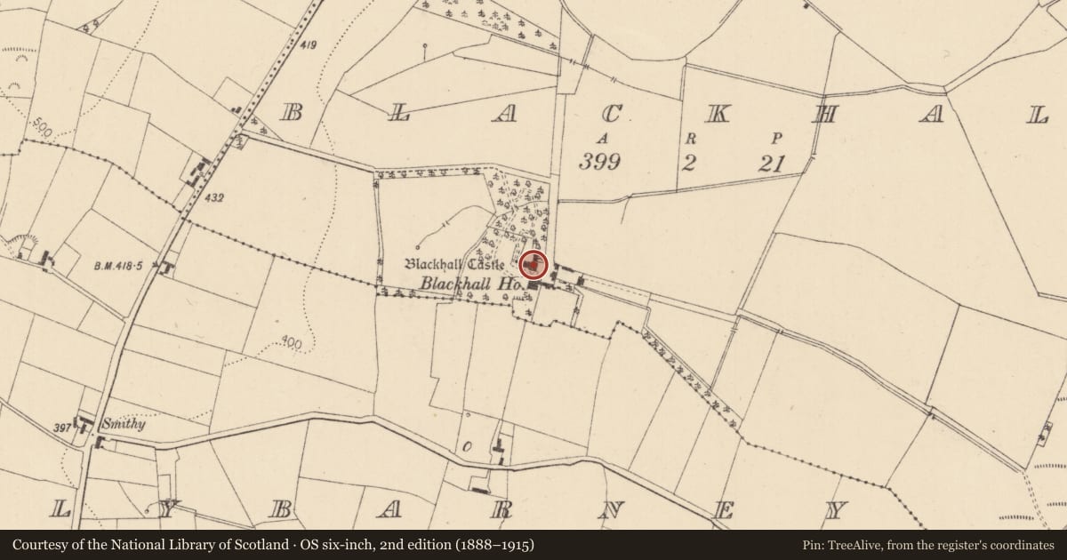 Ordnance Survey six-inch map, 2nd edition (1888–1915) covering the location of Castle - tower house, Blackhall, County Kildare, with a pin at the register's coordinates
