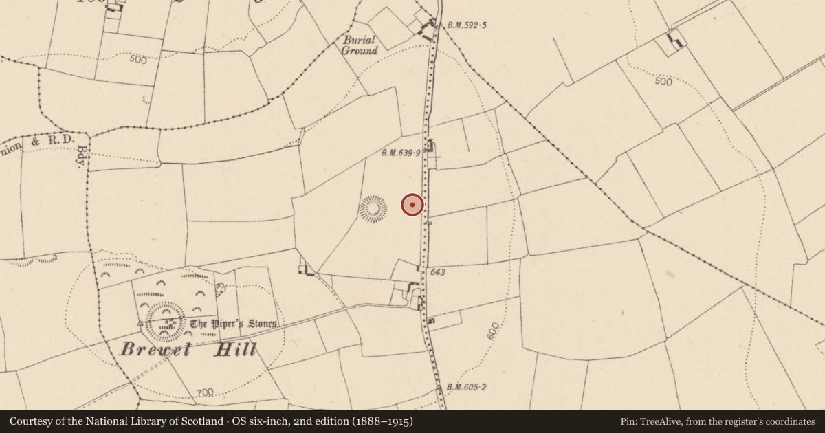 Ordnance Survey six-inch map, 2nd edition (1888–1915) covering the location of Barrow - ring-barrow, Brewel West, County Kildare, with a pin at the register's coordinates