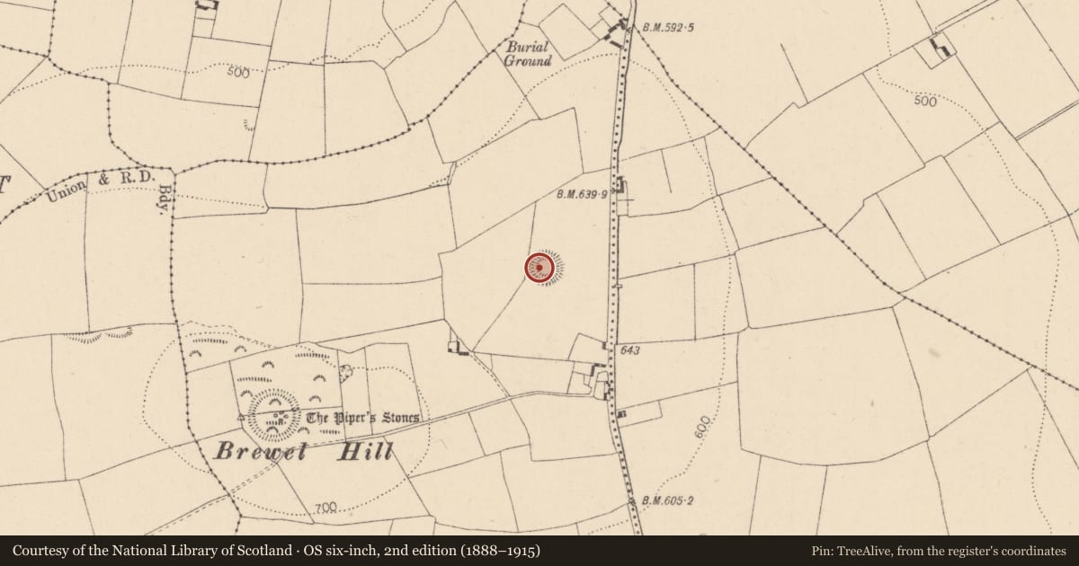Ordnance Survey six-inch map, 2nd edition (1888–1915) covering the location of Barrow - ring-barrow, Brewel West, County Kildare, with a pin at the register's coordinates
