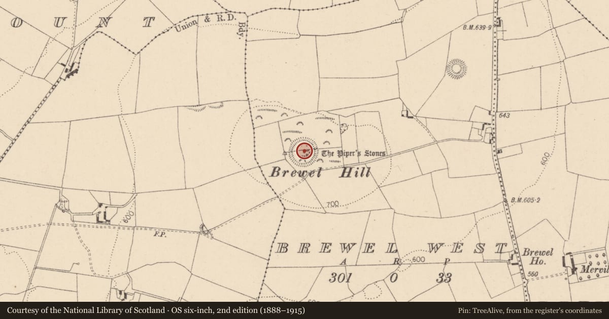 Ordnance Survey six-inch map, 2nd edition (1888–1915) covering the location of Stone circle, Brewel West, County Kildare, with a pin at the register's coordinates