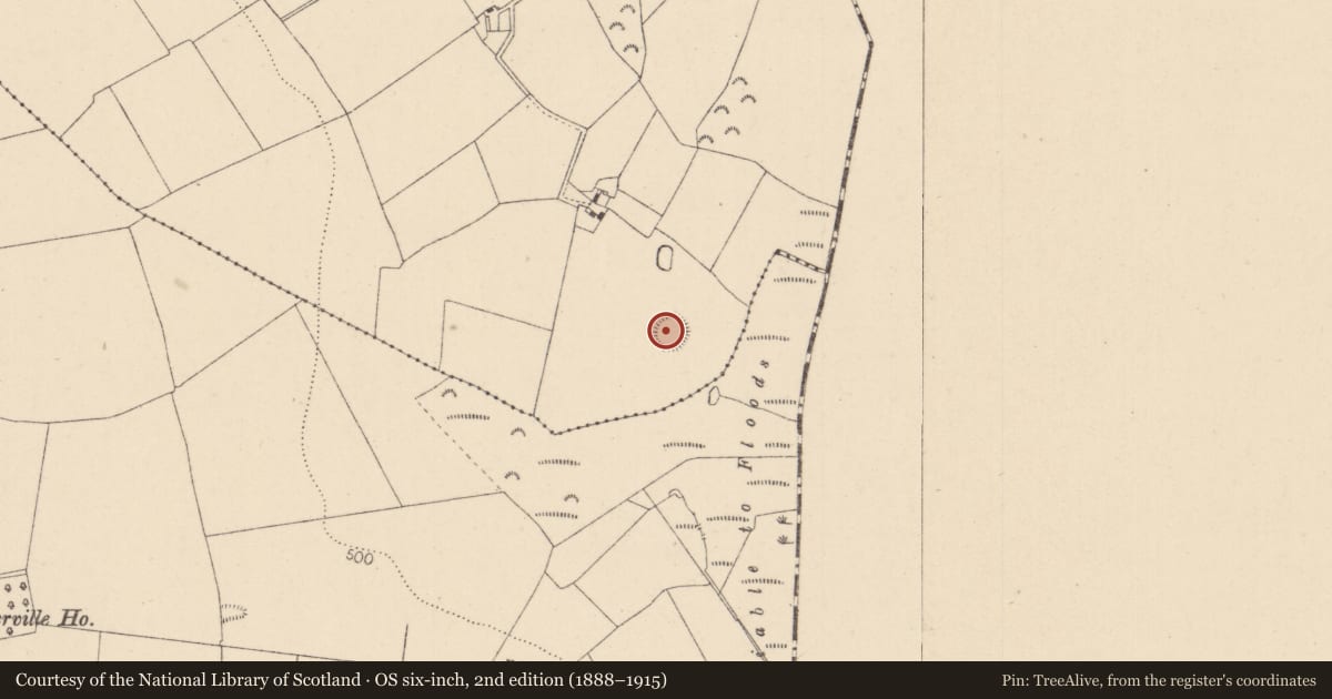 Ordnance Survey six-inch map, 2nd edition (1888–1915) covering the location of Ringfort - rath, Usk, County Kildare, with a pin at the register's coordinates