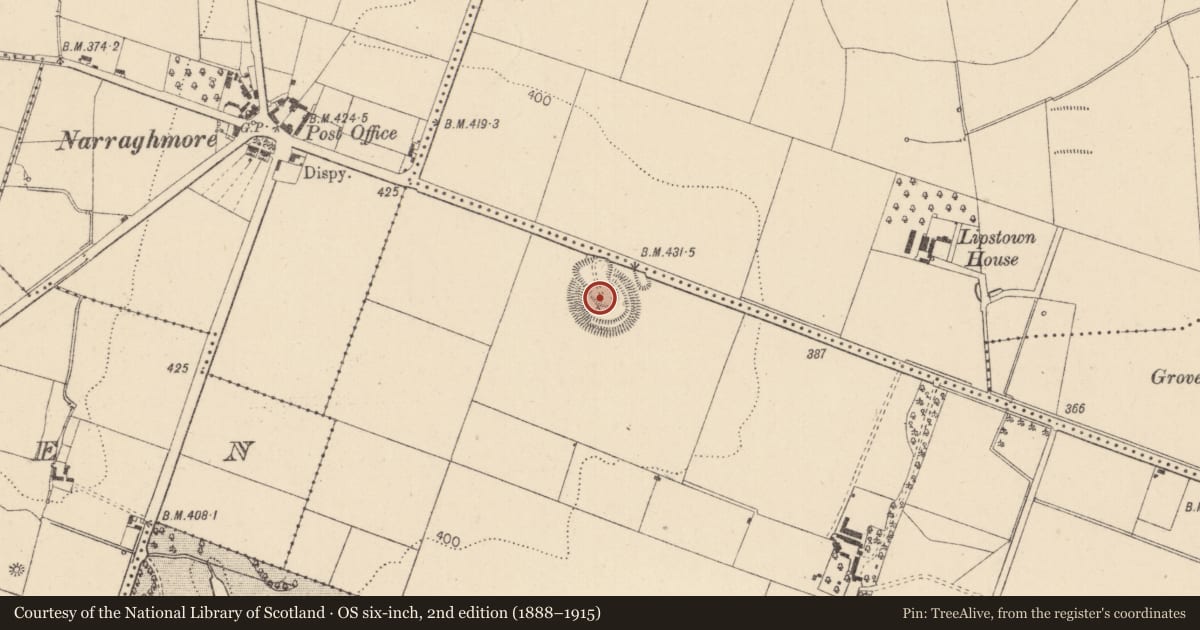 Ordnance Survey six-inch map, 2nd edition (1888–1915) covering the location of Ringfort - rath, Narraghmore, County Kildare, with a pin at the register's coordinates